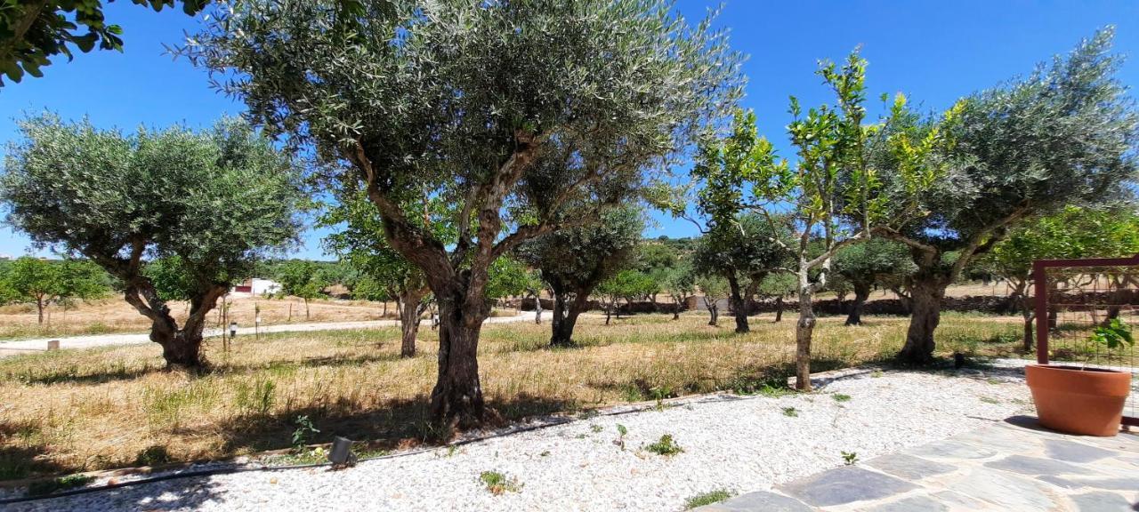 Quinta Da Soneca Lägenhet Alandroal Exteriör bild